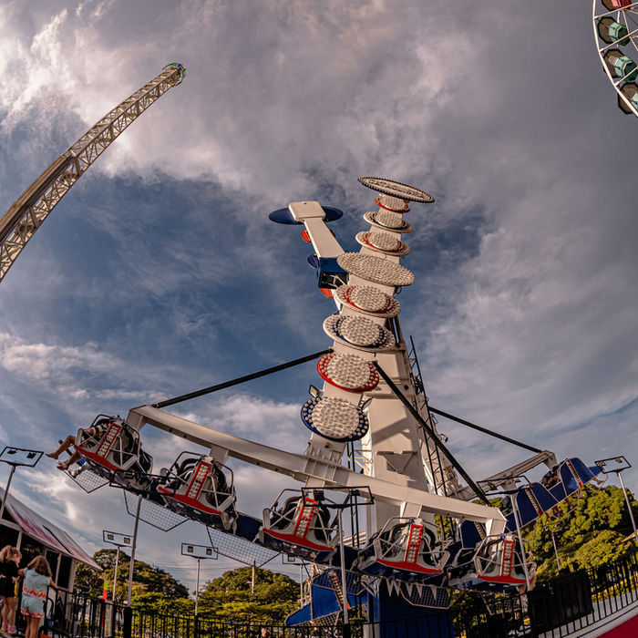 Adrenalina